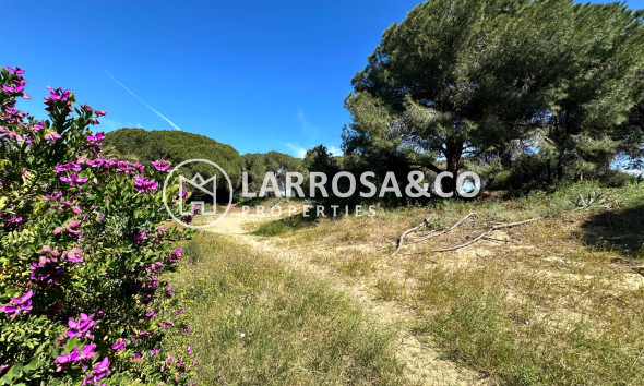 Herverkoop - Semi-detached house - Guardamar del Segura - Costa Blanca