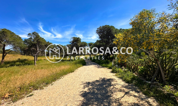 Herverkoop - Semi-detached house - Guardamar del Segura - Costa Blanca