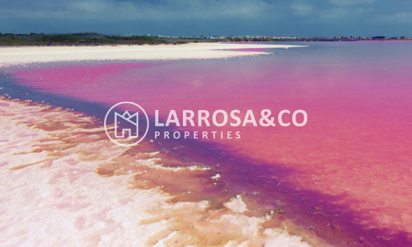 Resale - Apartment - Villamartín - Costa Blanca