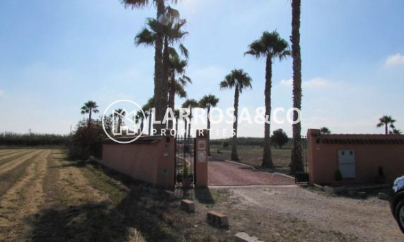 Вторичный рынок - Загородный дом - Долорес - Comunidad valenciana