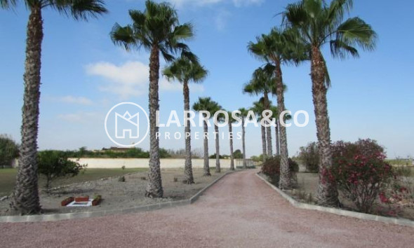 Вторичный рынок - Загородный дом - Долорес - Comunidad valenciana