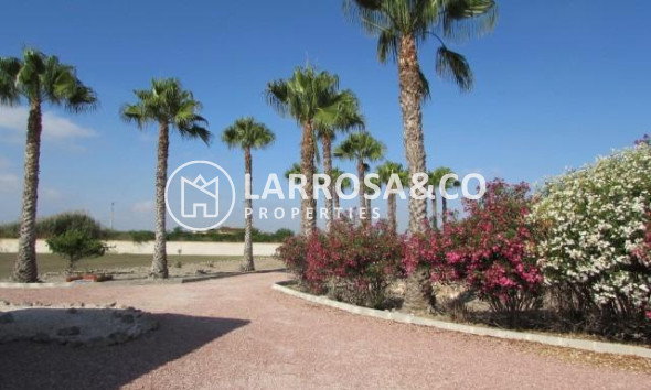 Вторичный рынок - Загородный дом - Долорес - Comunidad valenciana