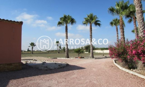 Вторичный рынок - Загородный дом - Долорес - Comunidad valenciana