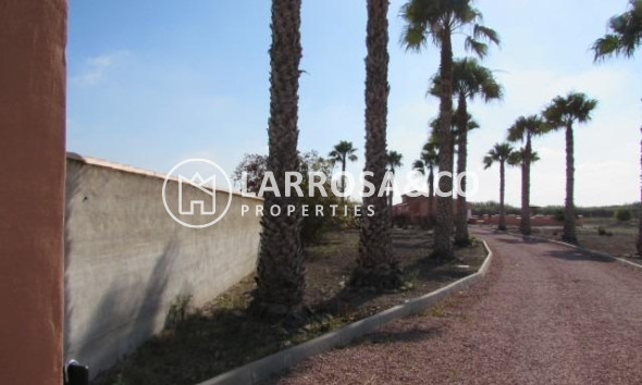 Вторичный рынок - Загородный дом - Долорес - Comunidad valenciana