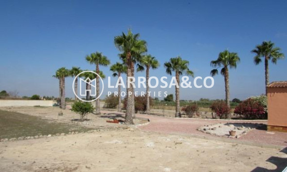 Вторичный рынок - Загородный дом - Долорес - Comunidad valenciana