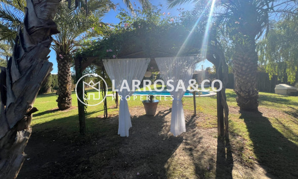 Вторичный рынок - Загородный дом - Долорес - Comunidad valenciana