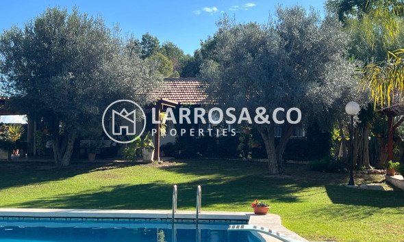 Вторичный рынок - Загородный дом - Долорес - Comunidad valenciana