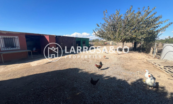 Вторичный рынок - Загородный дом - Долорес - Comunidad valenciana