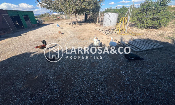 Вторичный рынок - Загородный дом - Долорес - Comunidad valenciana