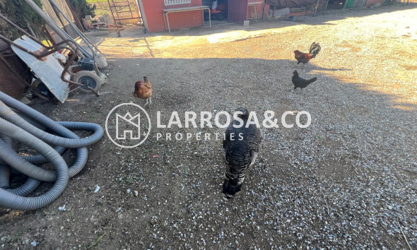 Вторичный рынок - Загородный дом - Долорес - Comunidad valenciana