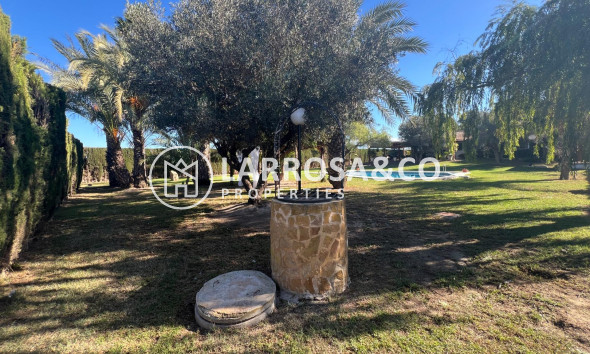 Вторичный рынок - Загородный дом - Долорес - Comunidad valenciana