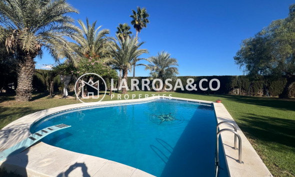 Вторичный рынок - Загородный дом - Долорес - Comunidad valenciana