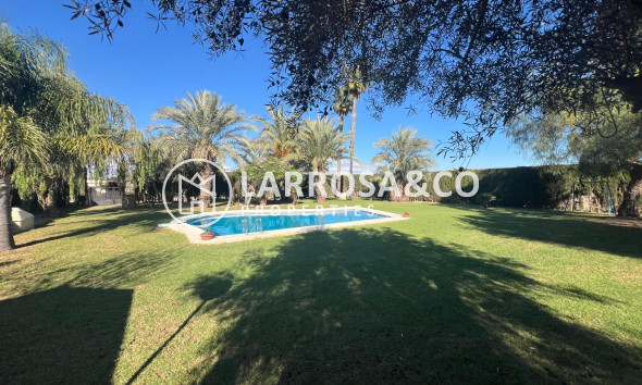 Вторичный рынок - Загородный дом - Долорес - Comunidad valenciana