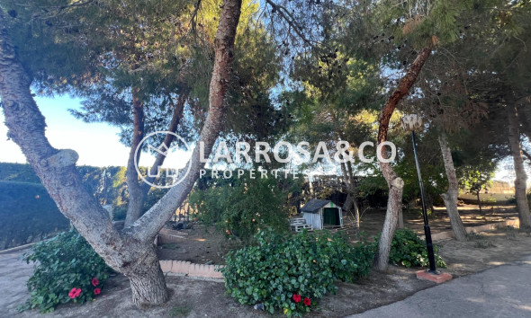 Вторичный рынок - Загородный дом - Долорес - Comunidad valenciana