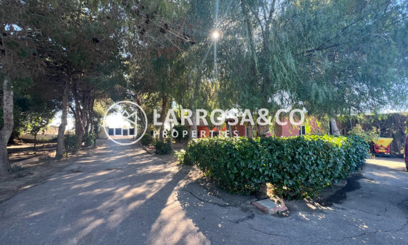 Вторичный рынок - Загородный дом - Долорес - Comunidad valenciana