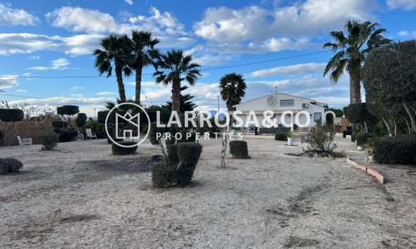 Вторичный рынок - Дом - Долорес - Comunidad valenciana