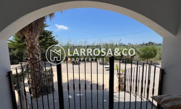 Вторичный рынок - Дом - Долорес - Comunidad valenciana