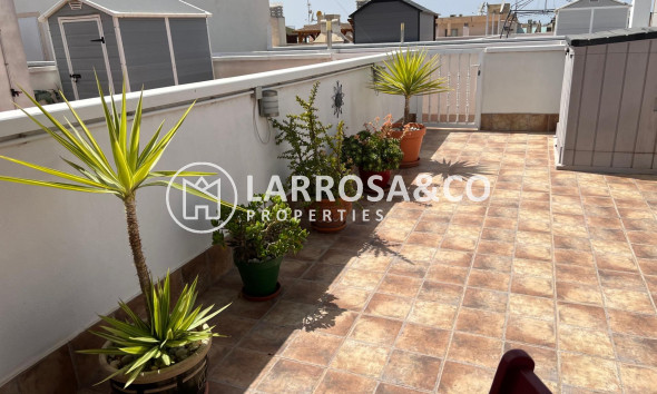 Herverkoop - Apartment - Dolores - Comunidad valenciana