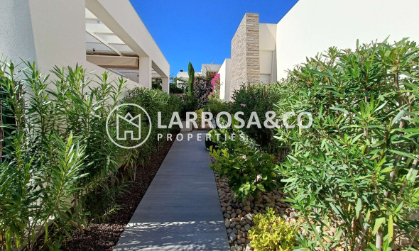 Reventa - Chalet - Algorfa - Inland