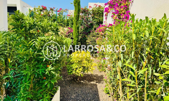 Reventa - Chalet - Algorfa - Inland