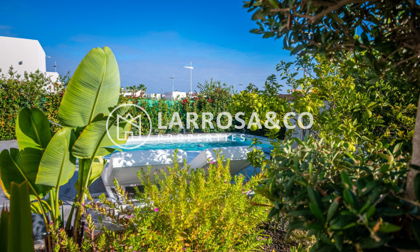 Reventa - Chalet - Algorfa - Inland