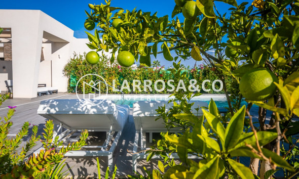 Reventa - Chalet - Algorfa - Inland