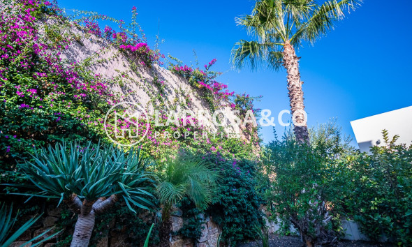 Reventa - Chalet - Algorfa - Inland