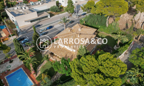 Resale - Detached House/Villa - Alicante - Costa Blanca