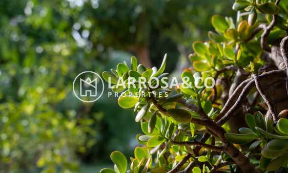 Resale - Detached House/Villa - Alicante - Costa Blanca