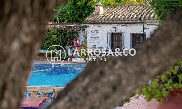 Resale - Detached House/Villa - Alicante - Costa Blanca