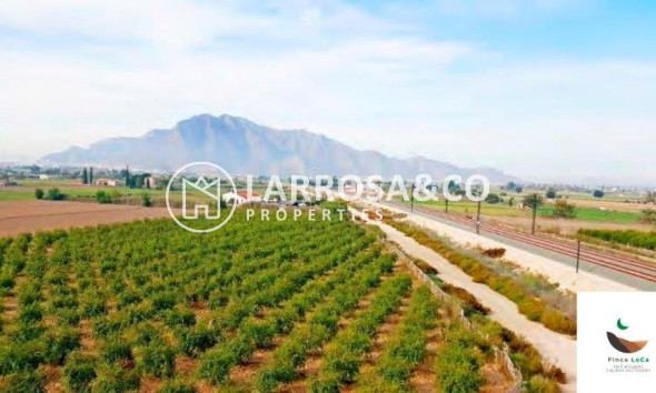 Resale - Country house - Callosa de Segura - Inland