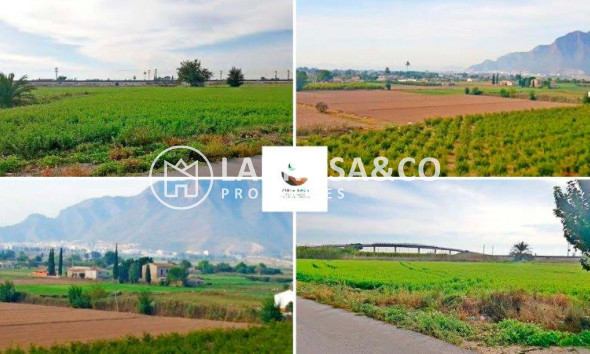 Resale - Country house - Callosa de Segura - Inland