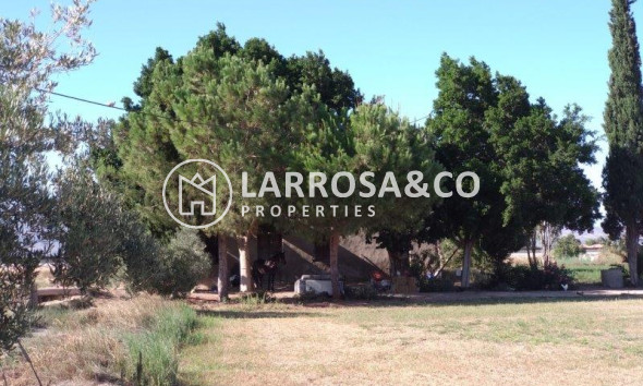 Resale - Country house - Callosa de Segura - Inland