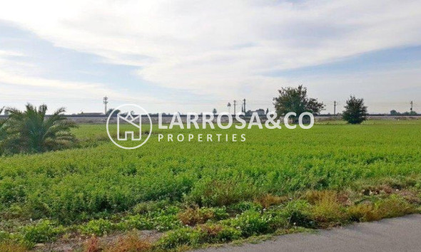 Resale - Country house - Callosa de Segura - Inland