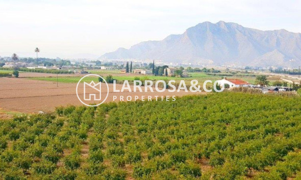 Resale - Country house - Callosa de Segura - Inland