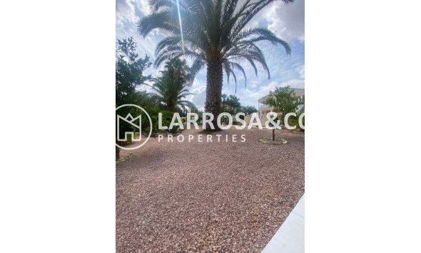 Reventa - Chalet - Algorfa - Inland