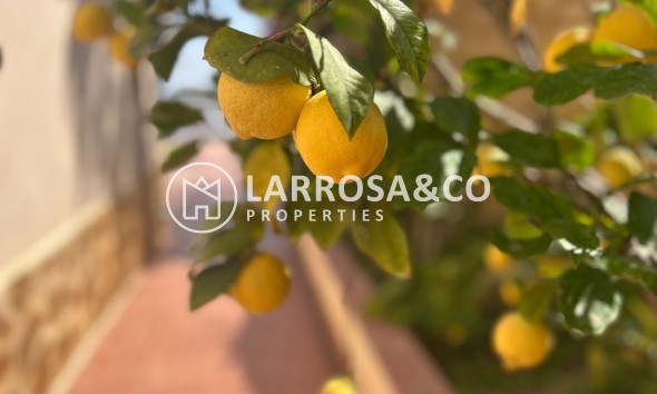 Reventa - Chalet - Algorfa - Inland