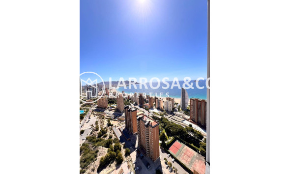 Herverkoop - Apartment - Benidorm - Poniente