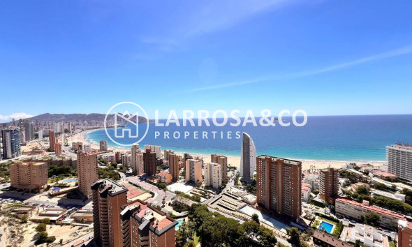 Reventa - Apartamento - Benidorm - Playa de Poniente