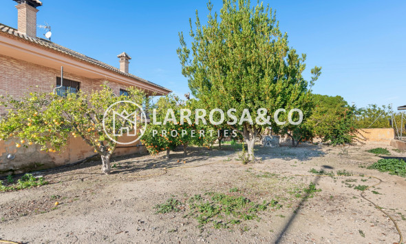 Вторичный рынок - Country estate - Beniel - Carretera de Beniel