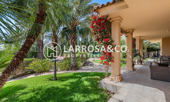 Herverkoop - Villa - Elche/Elx