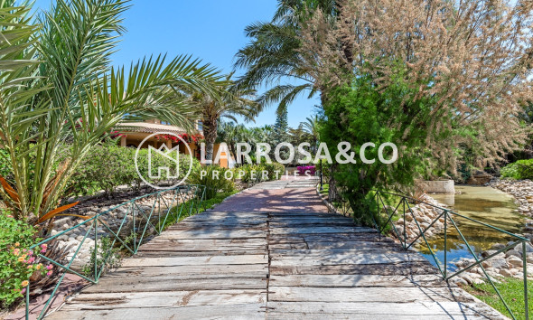 Herverkoop - Villa - Elche/Elx