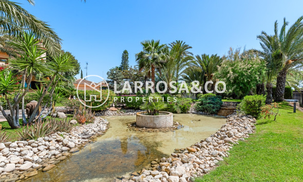 Herverkoop - Villa - Elche/Elx