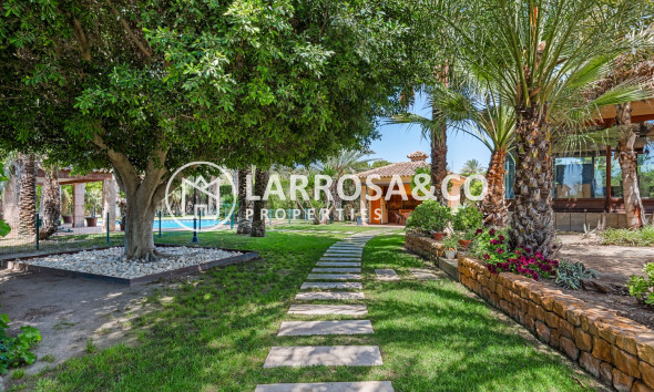 Herverkoop - Villa - Elche/Elx