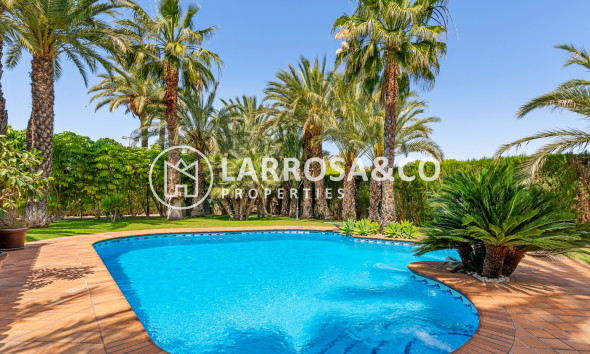 Herverkoop - Villa - Elche/Elx