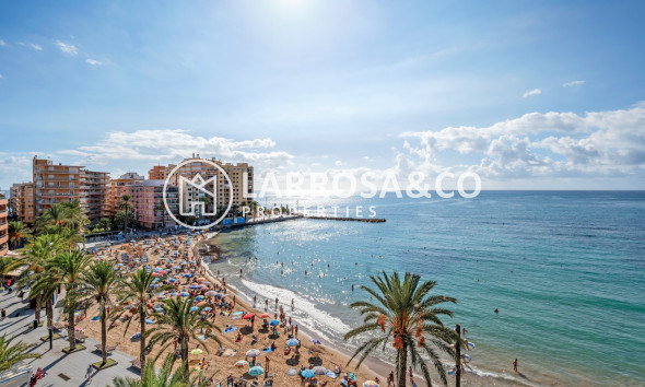 Вторичный рынок - Квартира - Торревьеха - torrevieja