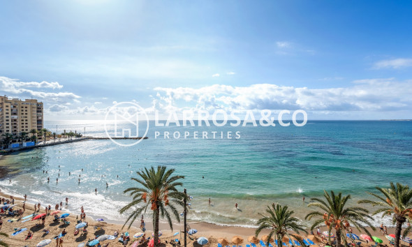 Вторичный рынок - Квартира - Торревьеха - torrevieja