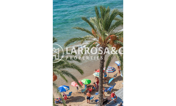 Вторичный рынок - Квартира - Торревьеха - torrevieja