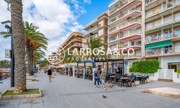 Вторичный рынок - Квартира - Торревьеха - torrevieja