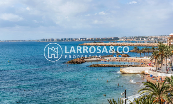 Вторичный рынок - Квартира - Торревьеха - torrevieja